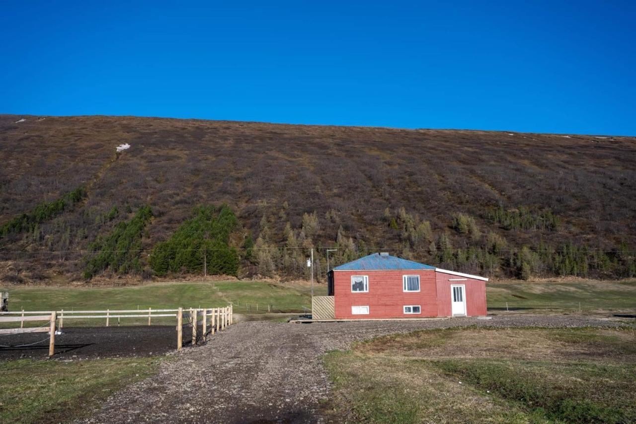 Sandhaugar Guesthouse Kiðagil Екстериор снимка